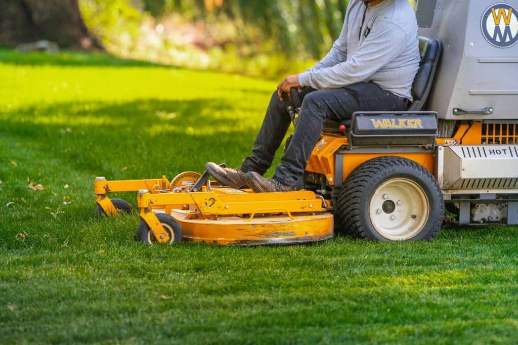 professional lawn care expert