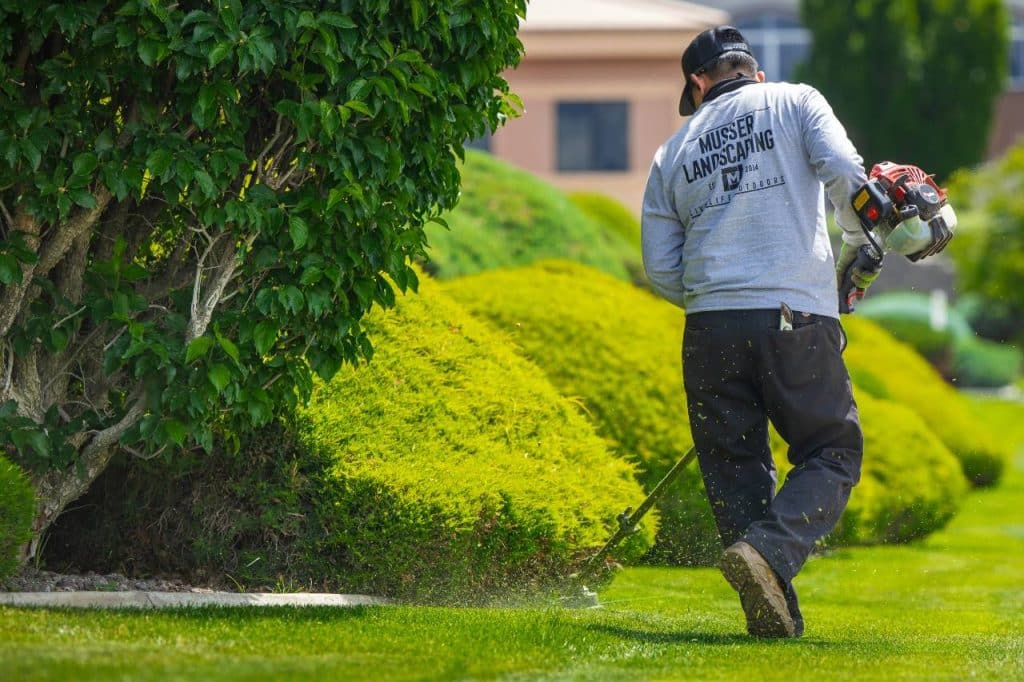 summer commercial landscaping maintenance
