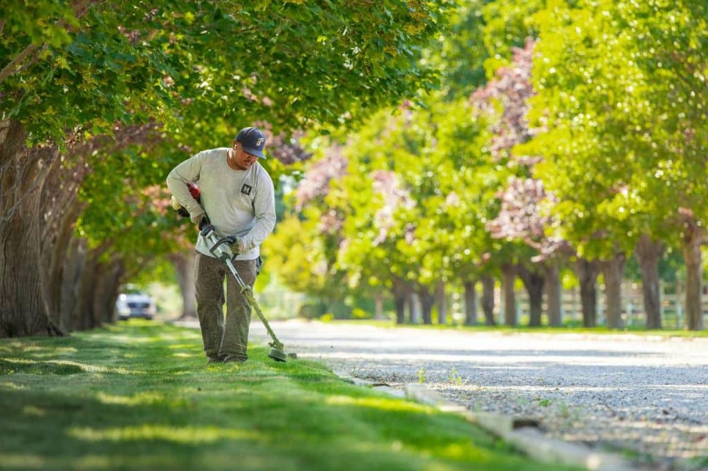 low maintenance plant choices - professional landscaping construction
