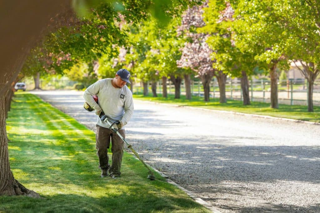fall landscaping maintenance