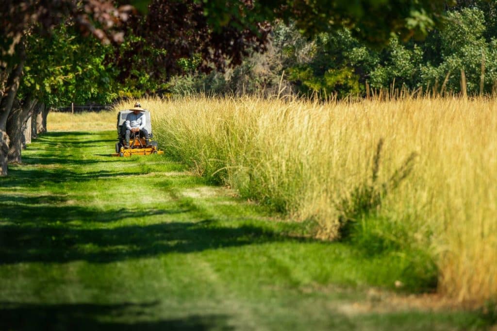 spring landscaping maintenance