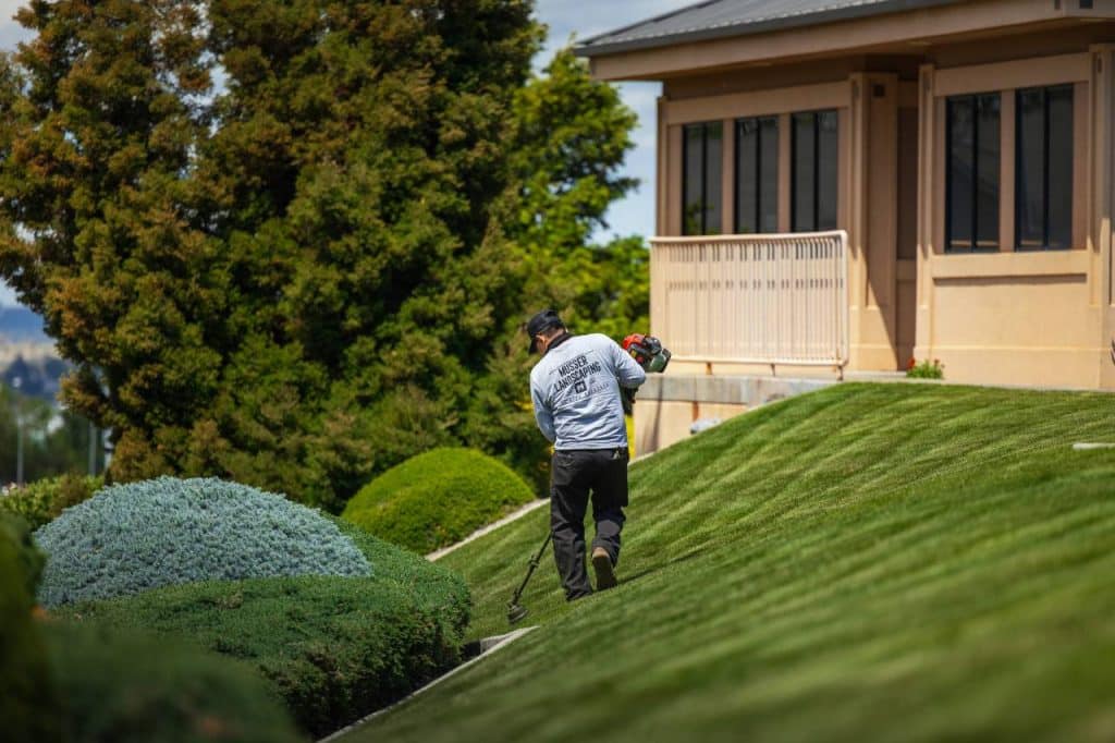 landscaping services