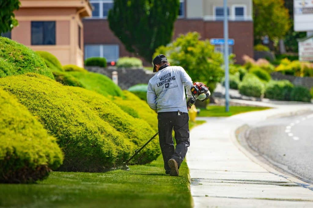 professional commercial lawn care in Pasco, WA