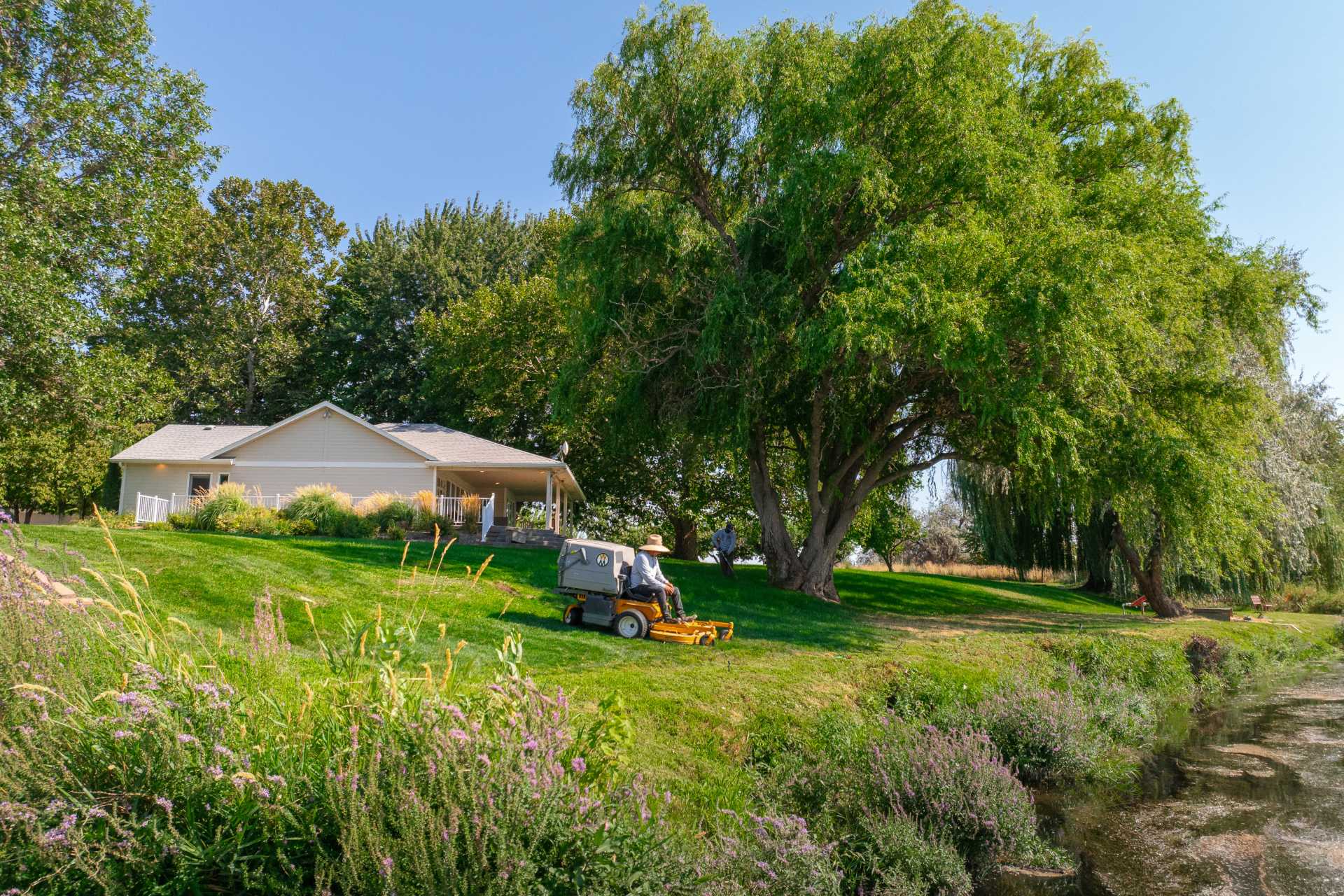 residential landscaping maintenance in Tri-Cities, WA