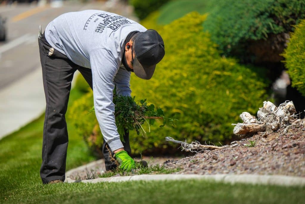 benefits of commercial landscaping maintenance in Richland, WA