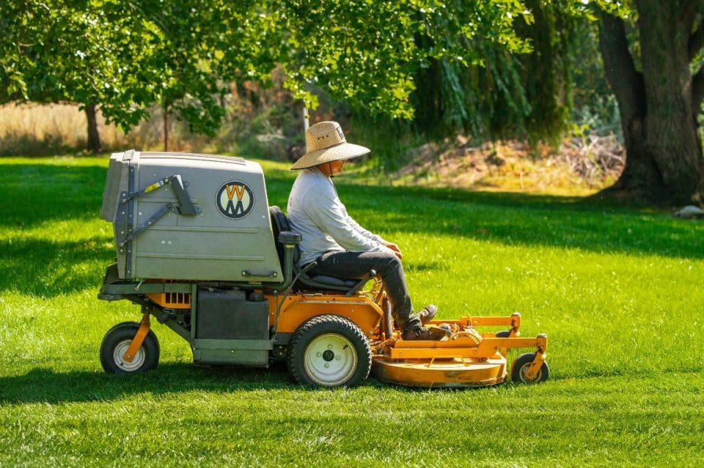 landscaping maintenance service